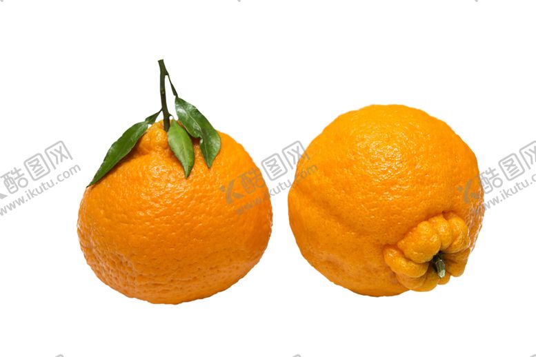 编号：45987509202005532955【酷图网】源文件下载-水果