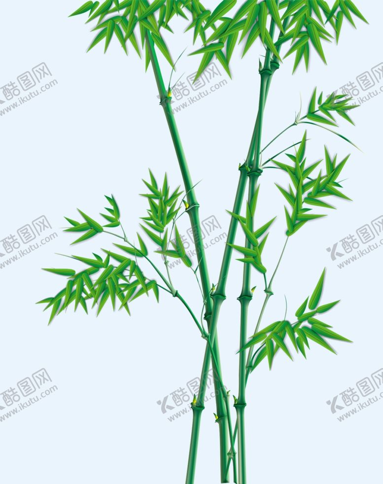 编号：24257707080448036058【酷图网】源文件下载-竹子