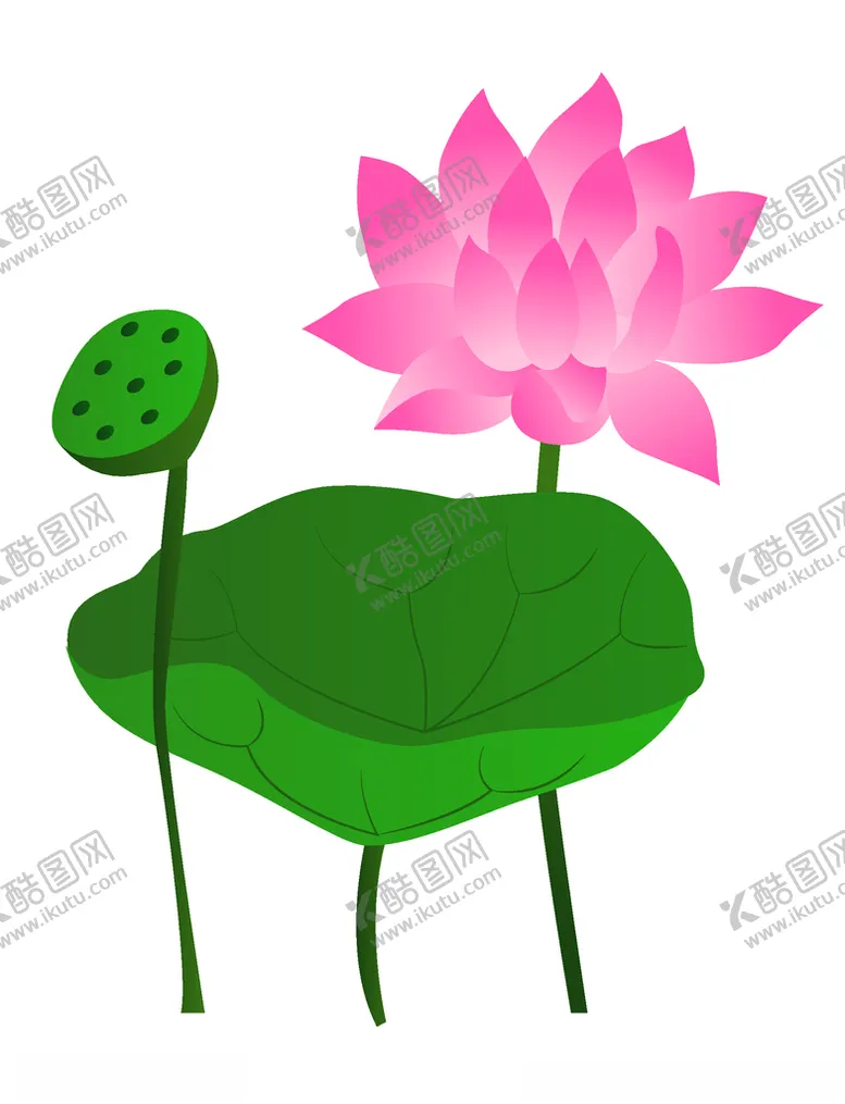 编号：58029904231607441198【酷图网】源文件下载-粉色莲花插画