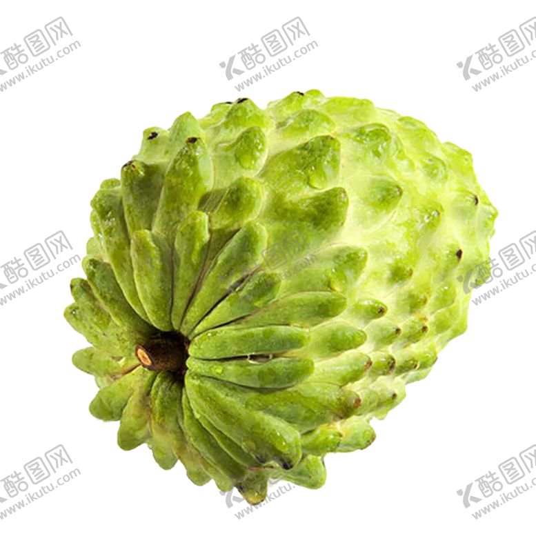 编号：74879610170407526125【酷图网】源文件下载-水果