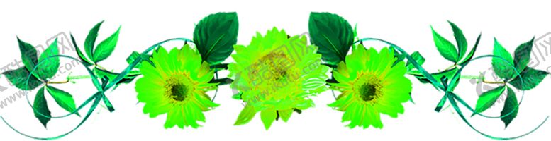 编号：85221109140840142790【酷图网】源文件下载-花素材