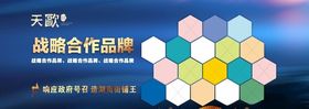 战略合作品牌