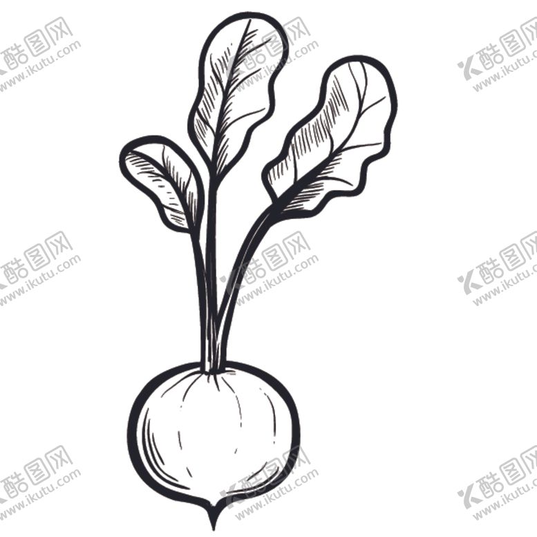 编号：33825507071220253824【酷图网】源文件下载-简笔画蔬菜食物