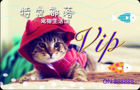 宠物店名片