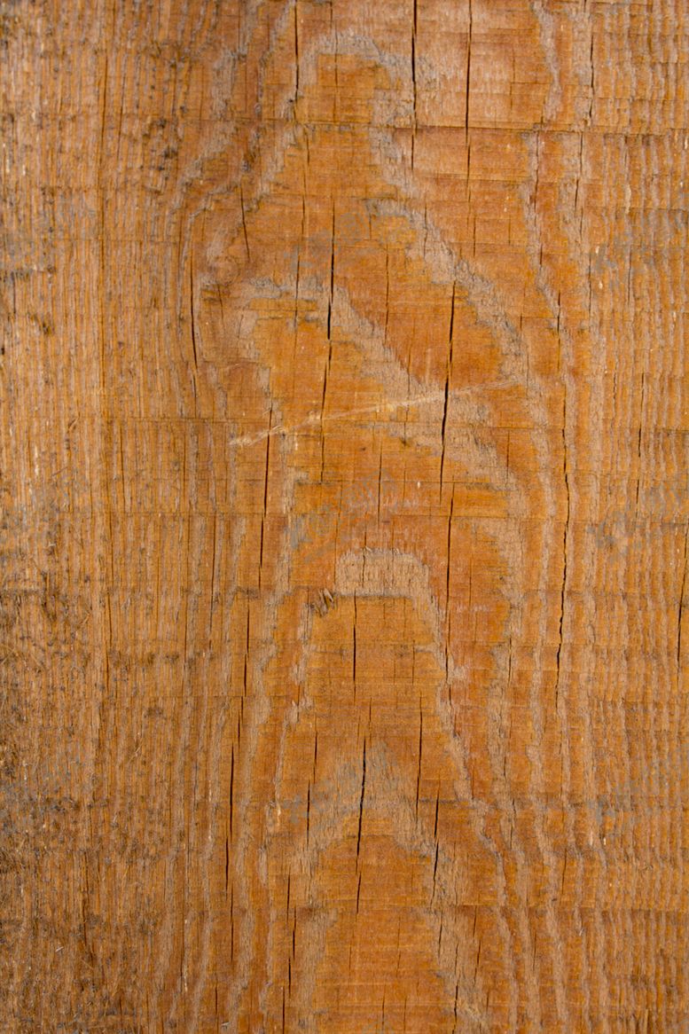 编号：10418010060834242622【酷图网】源文件下载-树皮