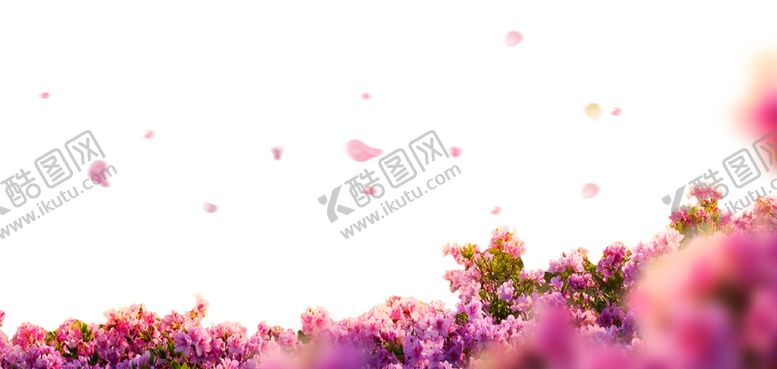 编号：39452505130843247110【酷图网】源文件下载-花朵边框