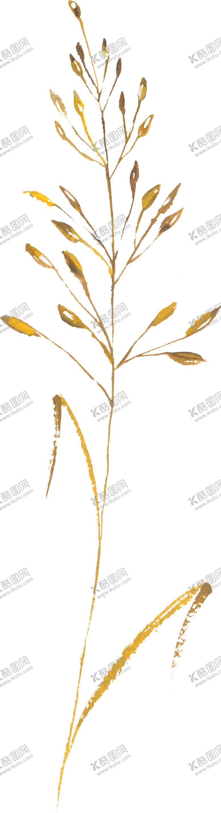 编号：34203707061614139137【酷图网】源文件下载-水彩手绘花卉花朵植物