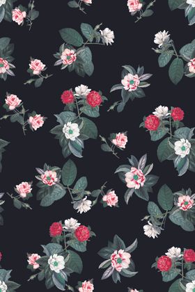 山茶花