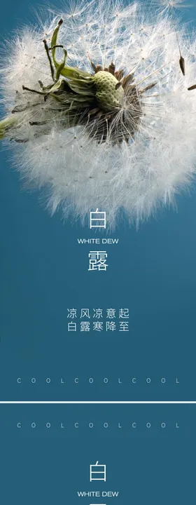 白露节气系列海报
