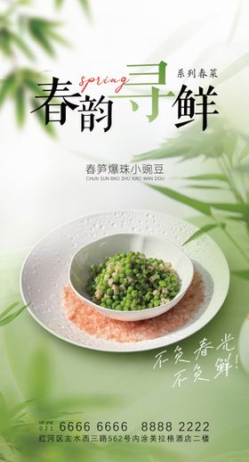 春季菜品海报