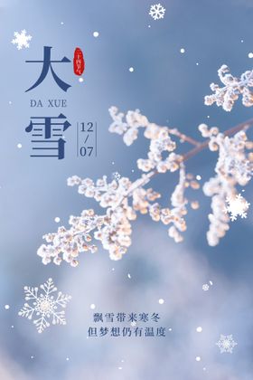 编号：08652709222350164536【酷图网】源文件下载-大雪海报