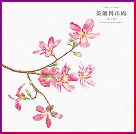 木棉花