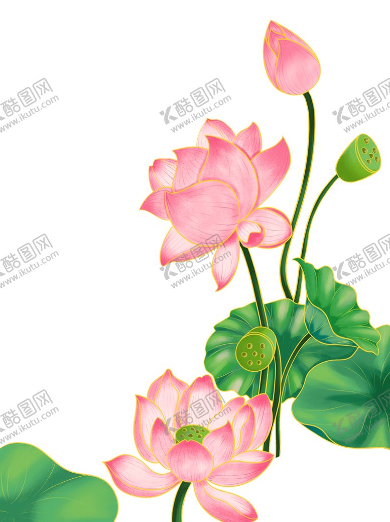 编号：31259709170527284038【酷图网】源文件下载-荷花