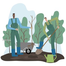 植树
