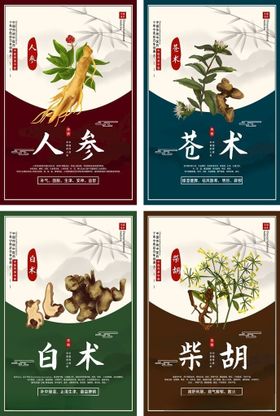简约中医中药药材宣传海报