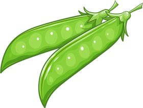 水果展架新鲜易拉宝
