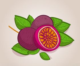 手绘百香果