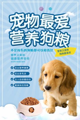 宠物
