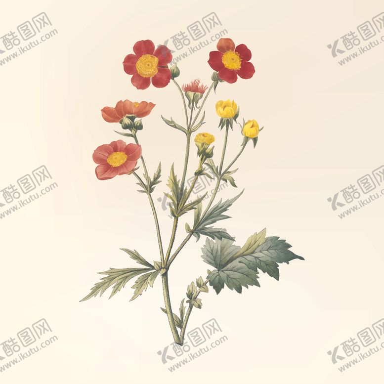 编号：52932706281137533517【酷图网】源文件下载-花纹