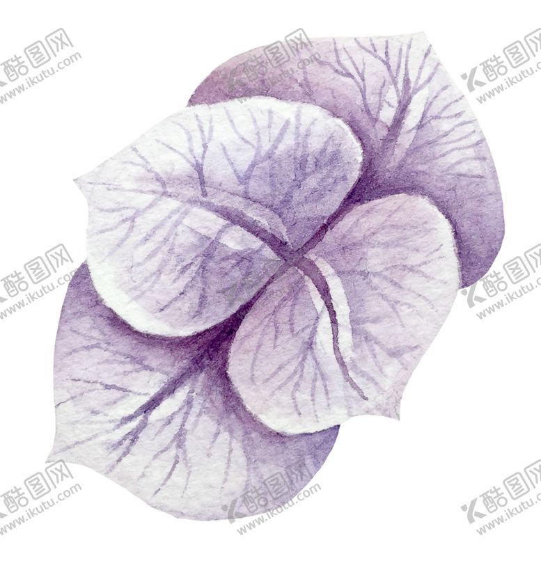 编号：68412110061340596262【酷图网】源文件下载-手绘植物