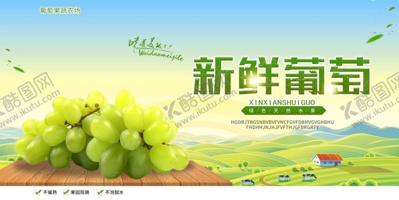 编号：56598110030424125196【酷图网】源文件下载-新鲜葡萄