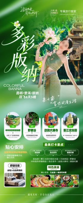 多彩版纳旅游海报