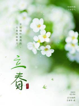 立春节气花卉清新画面