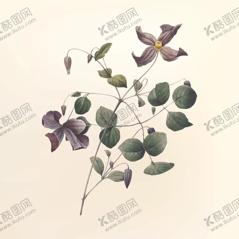 编号：44433406281032078516【酷图网】源文件下载-花纹