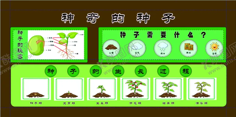 编号：74749712151852023694【酷图网】源文件下载-种子生长