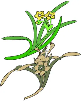 中式花纹镂空欧框边框