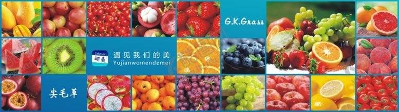 编号：98906004061654578184【酷图网】源文件下载-水果展板