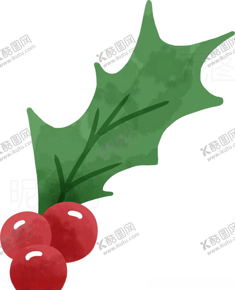 编号：63672910040259477106【酷图网】源文件下载-圣诞果