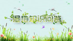 答题