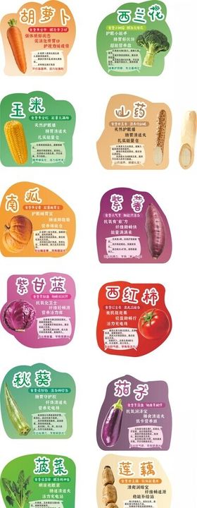 食补色卡十二种蔬菜营养图鉴
