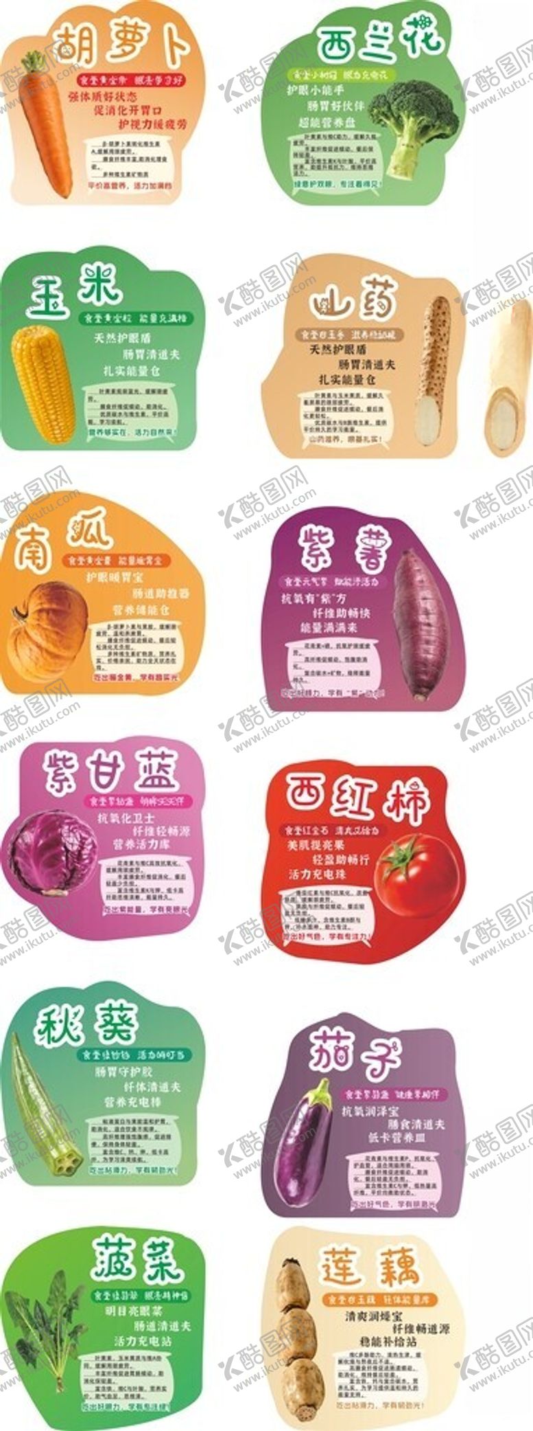 编号：22004004161450051263【酷图网】源文件下载-食补色卡十二种蔬菜营养图鉴