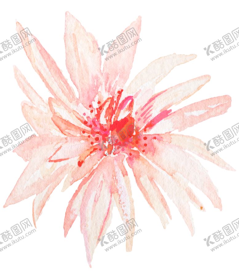 编号：73599904240141095104【酷图网】源文件下载-北欧小清新水彩花朵插画