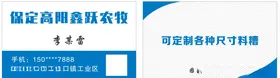 简约蓝色名片设计商务设计素雅设计设计模板