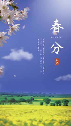 春分海报油菜花天节气蓝天