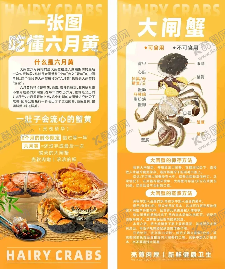 编号：20257904051943027469【酷图网】源文件下载-六月黄大闸蟹尝鲜活动