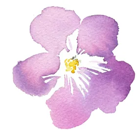 花卉背景手绘手绘欧式油画北欧植物