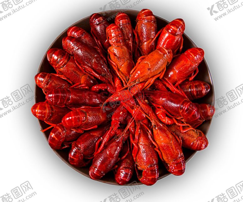 编号：49188709111818229548【酷图网】源文件下载-龙虾