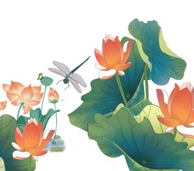 国潮元素 荷花