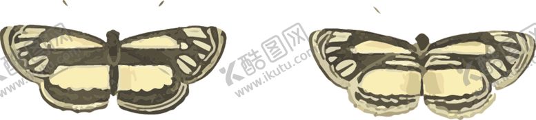 编号：20623507092242053191【酷图网】源文件下载-蝴蝶昆虫插画