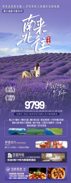 新疆薰衣草庄园阿勒泰海报