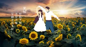 向日葵花蓝天向日葵向日葵壁
