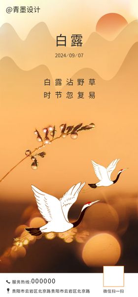 白露海报风景芦苇黄昏