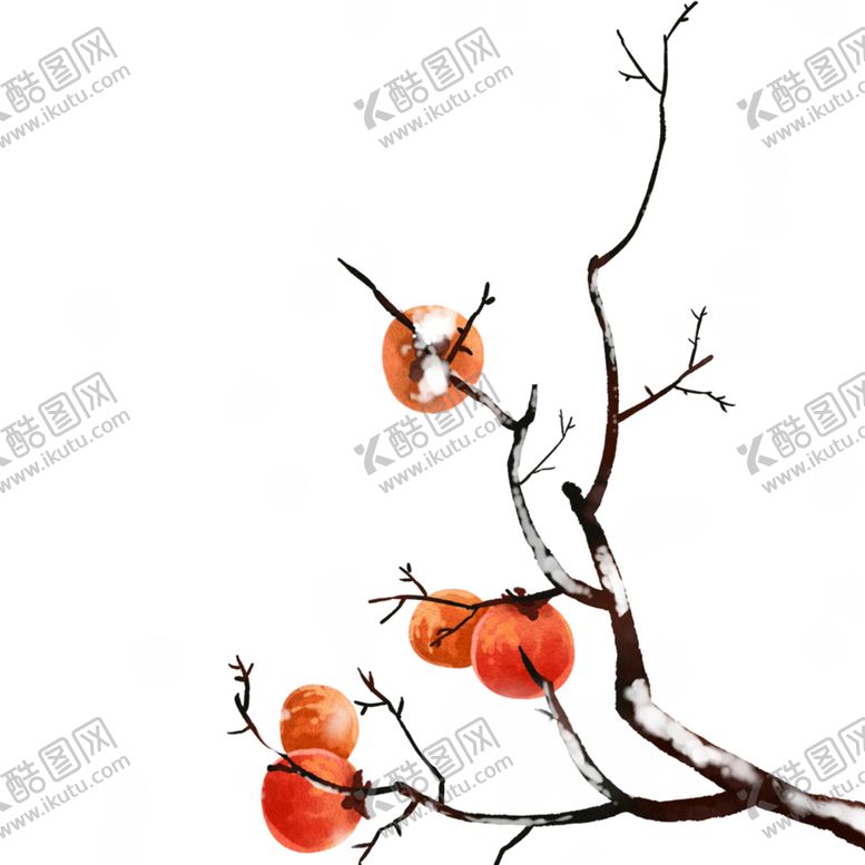 编号：20251804221026474625【酷图网】源文件下载-冬季柿子素材