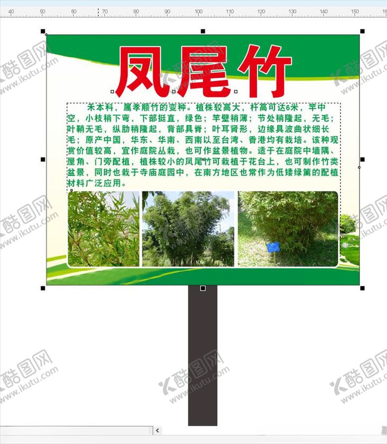 编号：35297909171046398387【酷图网】源文件下载-凤尾竹简介