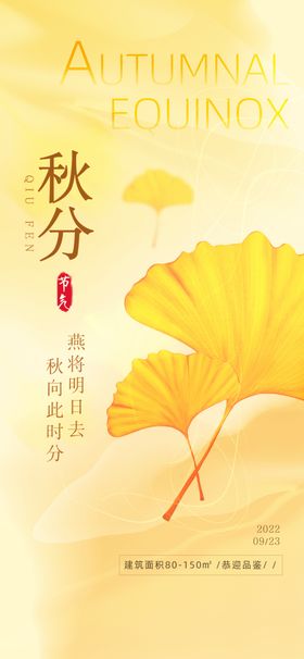 秋分时节银杏叶之美