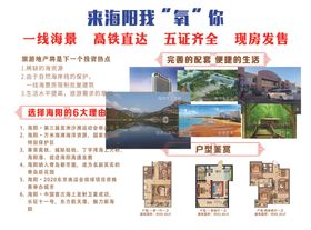 地产单页背面